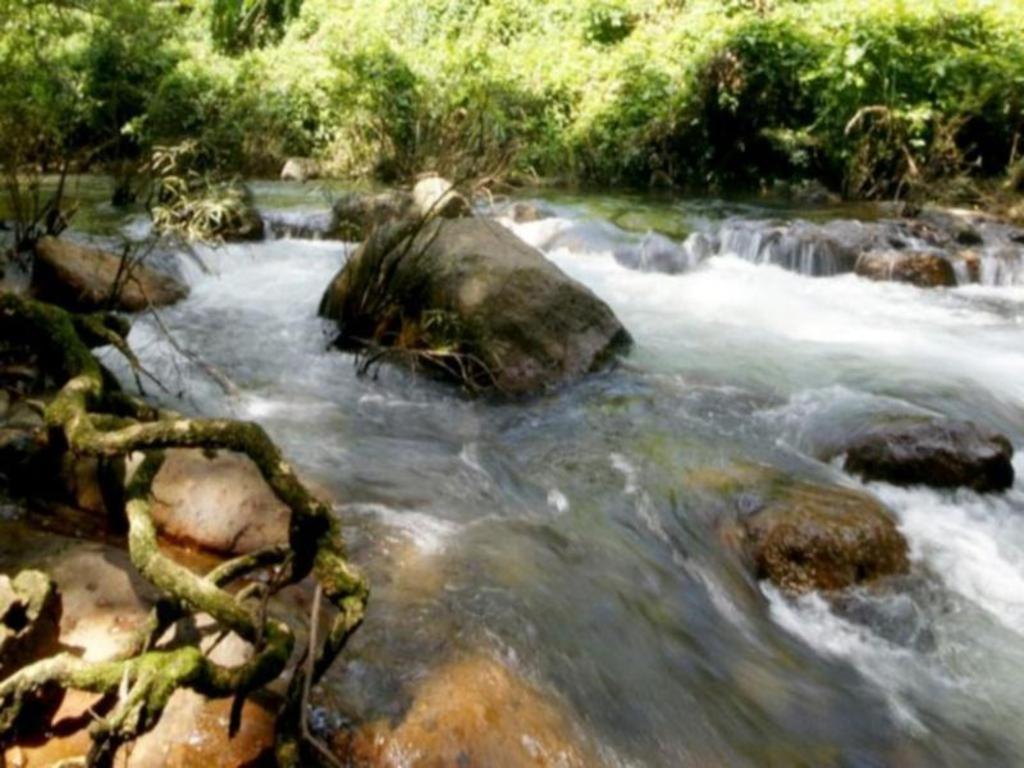 The Forest Home Resort Nakhon Nayok Exterior foto